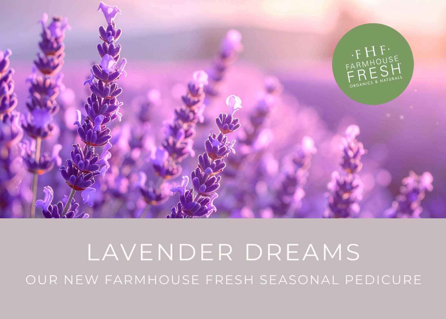 Excuria Salon and Spa